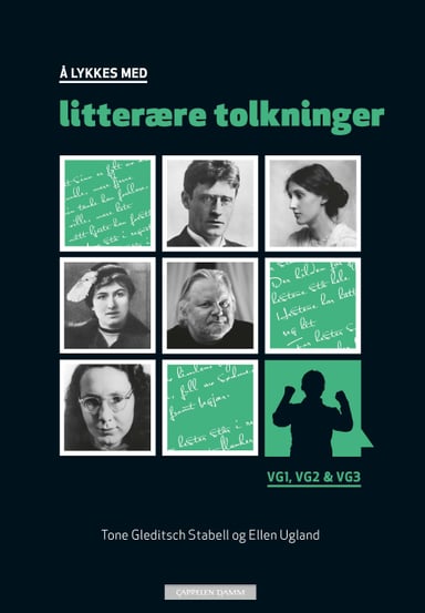 Omslag av "Å lykkes med litterære tolkninger (2014)"