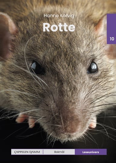 Omslag av "Leseunivers 10: Rotte"