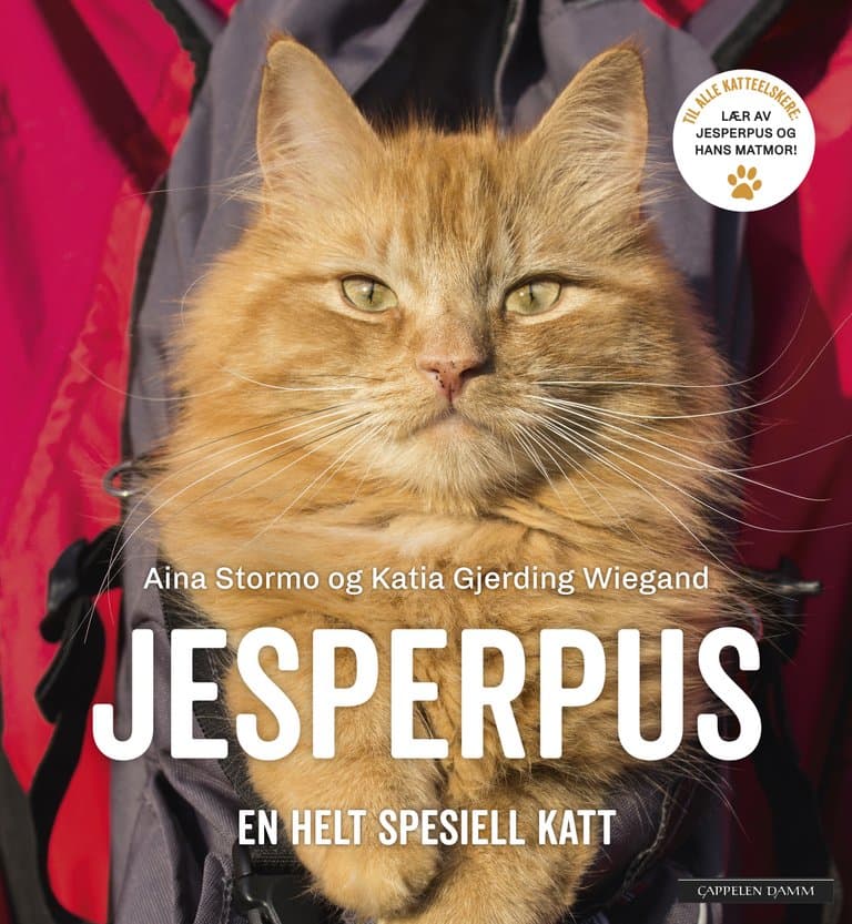 Omslag Jesperpus av Aina Stormo og Katia Gjerding Wiegand (Innbundet)
