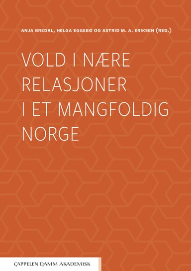 Omslag av "Vold i nære relasjoner i et mangfoldig Norge"