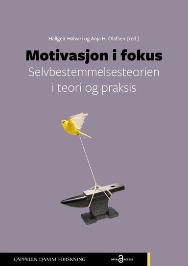 Omslag av "Motivasjon i fokus"