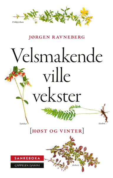 Omslag av "Sankeboka høst og vinter"