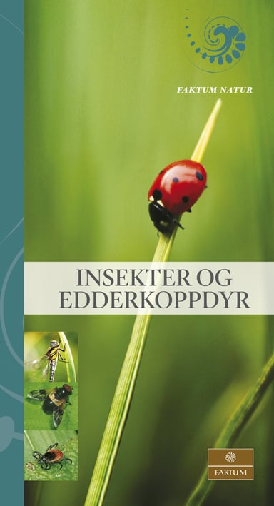Omslag av "Insekter og edderkoppdyr"