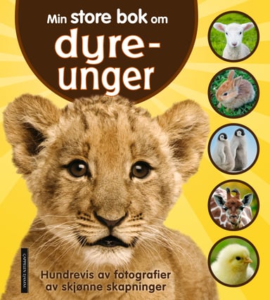 Omslag av "Min store bok om dyreunger"