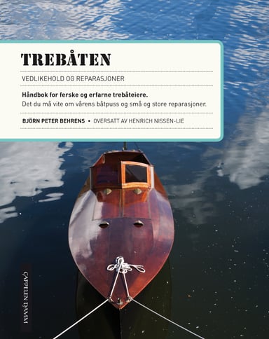 Omslag av "Trebåten"