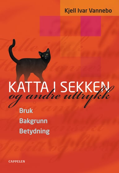 Omslag av "KATTA I SEKKEN og andre uttrykk"
