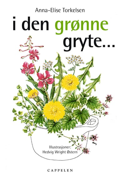 Omslag av "I den grønne gryte"