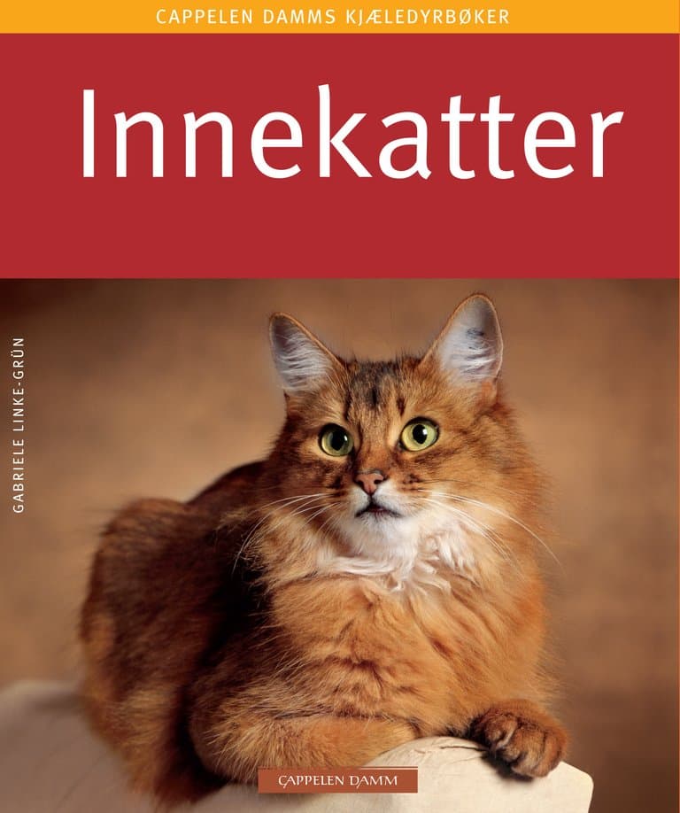 Omslag Innekatter av Gabriele Linke-Grün (Heftet)