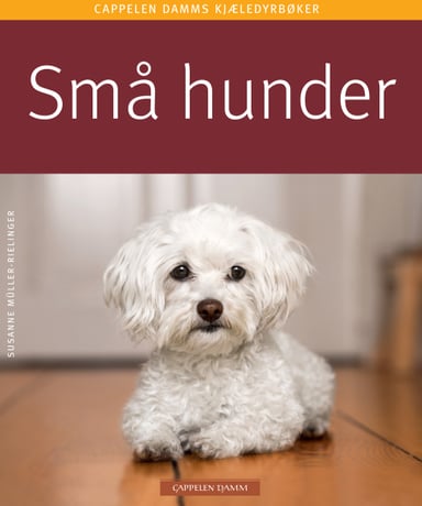 Omslag av "Små hunder"