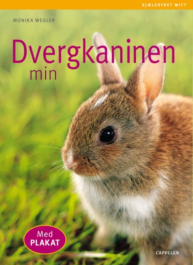 Omslag av "Dvergkaninen min"
