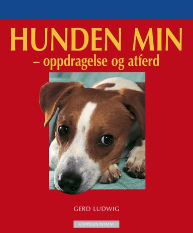 Omslag av "Hunden min"
