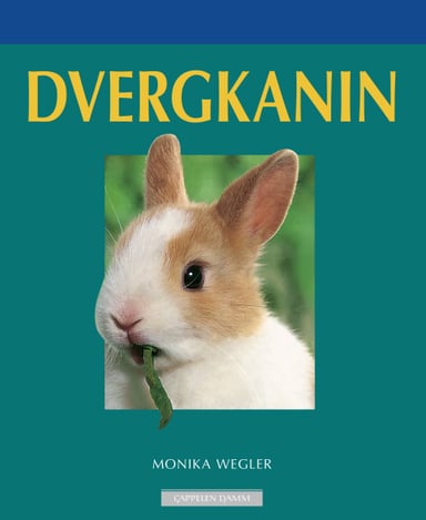 Omslag av "Dvergkanin"