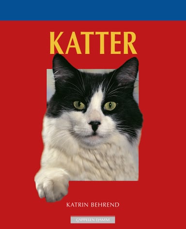 Omslag av "Katter"