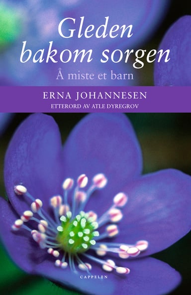 Omslag av "Gleden bakom sorgen"