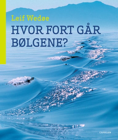 Omslag av "Hvor fort går bølgene?"
