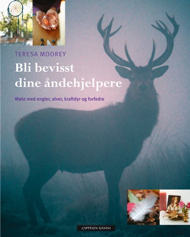 Omslag av "Bli bevisst dine åndehjelpere"