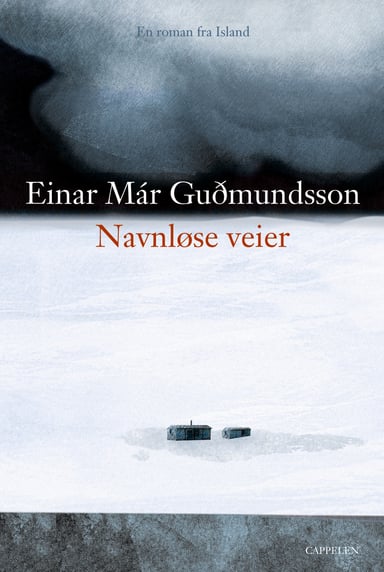 Omslag av "Navnløse veier"
