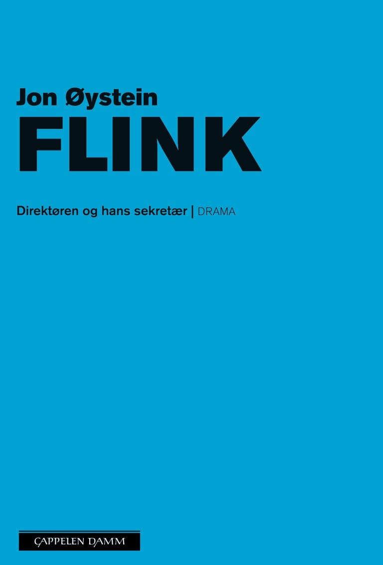 Omslag Direktøren og hans sekretær av Jon Øystein Flink (Heftet)