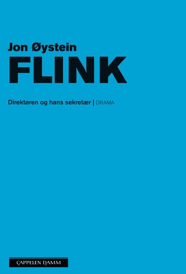 Omslag av "Direktøren og hans sekretær"