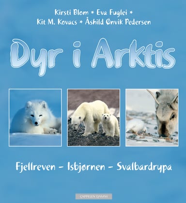 Omslag av "Dyr i Arktis"