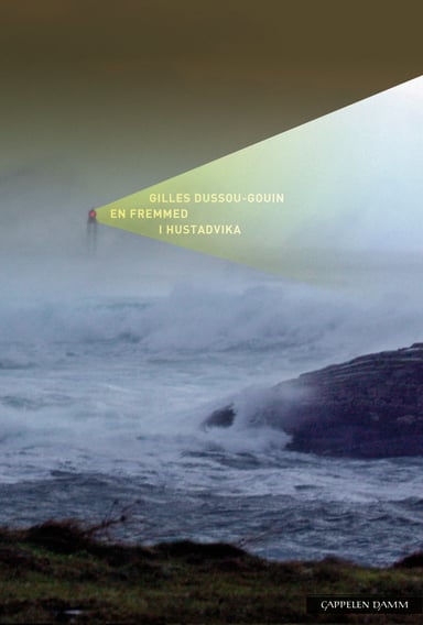 Omslag av "En fremmed i Hustadvika"