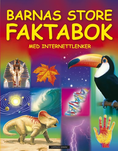 Omslag av "Gavebøker 2/2009 Barnas store faktabok"