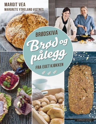 Omslag av "Brødskiva"