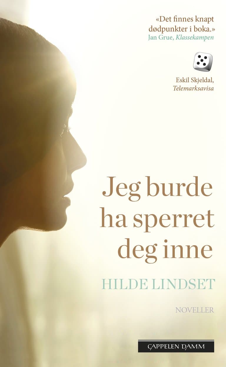 Omslag Jeg burde ha sperret deg inne av Hilde Lindset (Heftet)