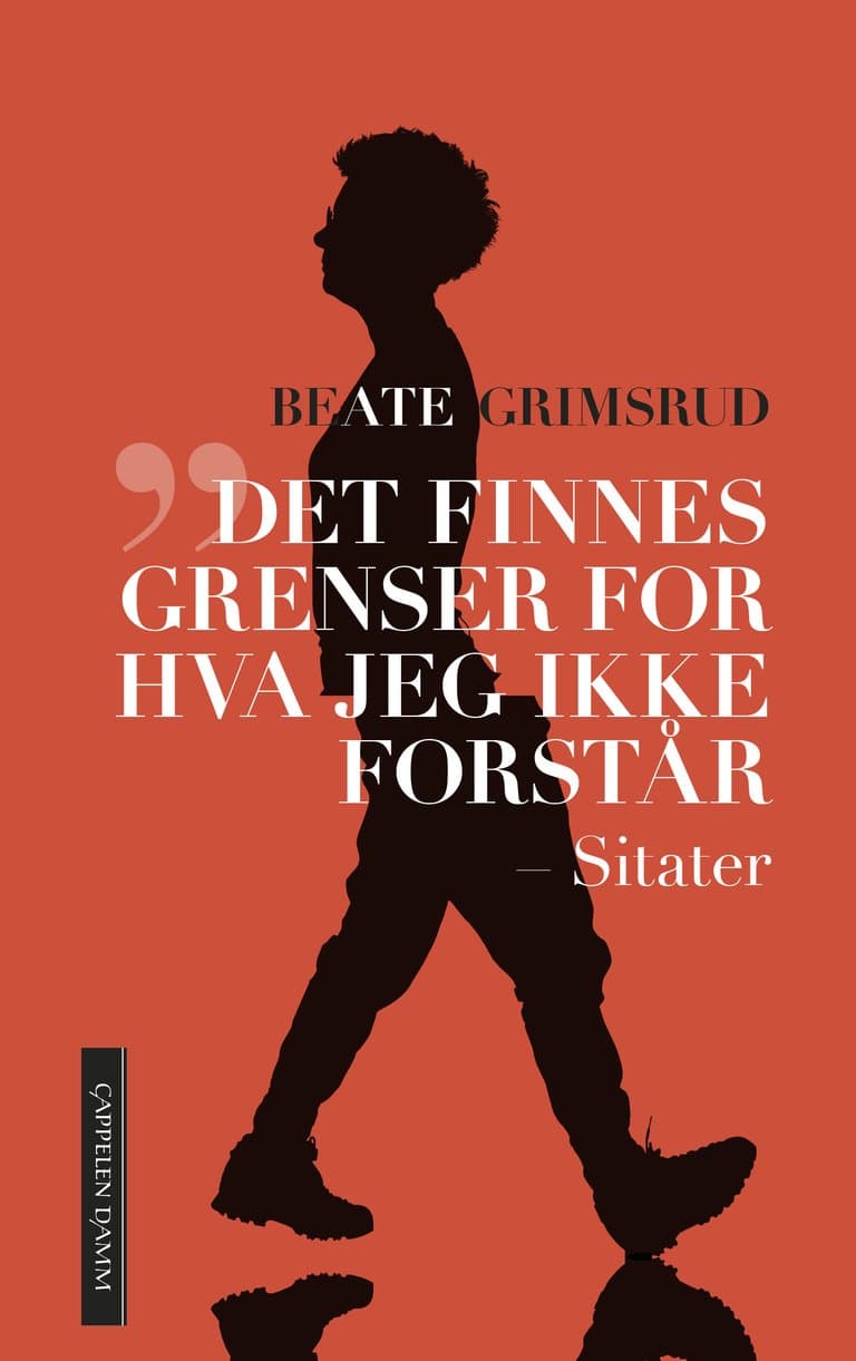 Omslag Det finnes grenser for hva jeg ikke forstår av Beate Grimsrud (Innbundet)
