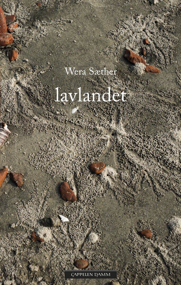 Omslag Lavlandet av Wera Sæther (Innbundet)