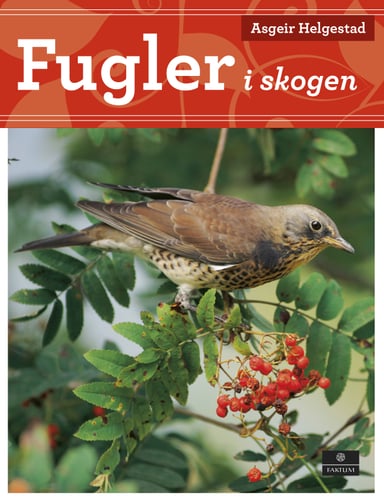 Omslag av "Fugler i skogen"