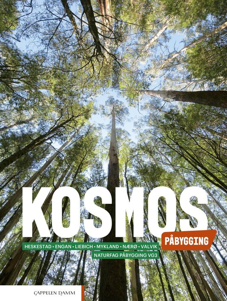 Omslag Kosmos Påbygging (2022) av Heskestad, Engan, Liebich, Mykland, Nærø og Valvik (Heftet)