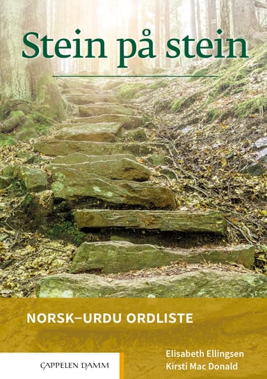 Omslag av "Stein på stein Norsk-urdu ordliste"