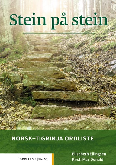 Omslag av "Stein på stein Norsk-tigrinja ordliste (2021)"