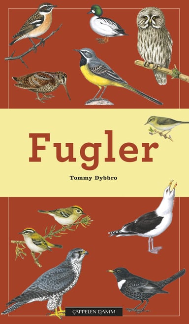 Omslag av "Fugler"