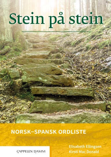 Omslag av "Stein på stein Norsk-spansk ordliste (2021)"