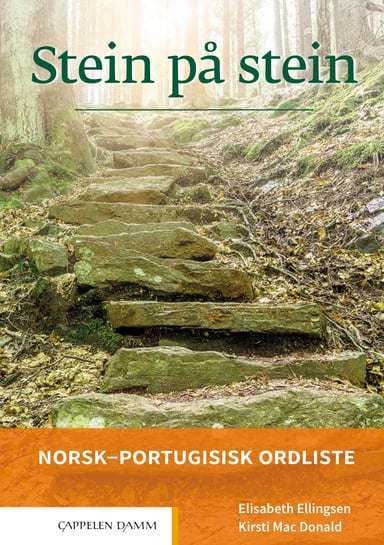 Omslag av "Stein på stein Norsk-portugisisk ordliste (2021)"