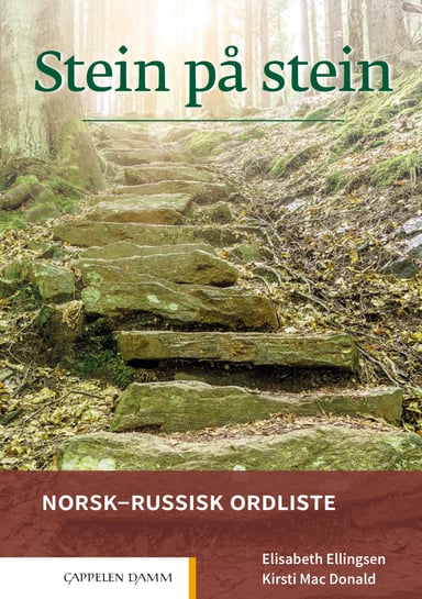 Omslag av "Stein på stein Norsk-russisk ordliste (2021)"