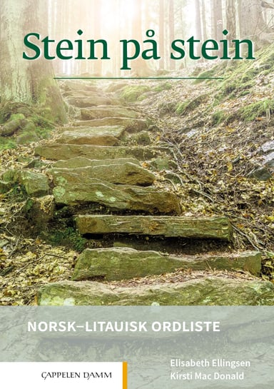 Omslag av "Stein på stein Norsk-litauisk ordliste (2021)"