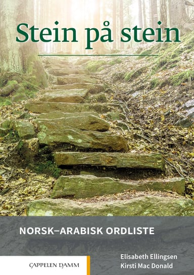 Omslag av "Stein på stein Norsk-arabisk ordliste"