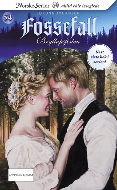 Omslag av "Bryllupsfesten"