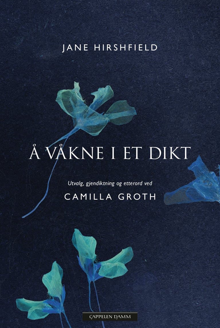 Omslag Å våkne i et dikt av Jane Hirshfield (Ebok)