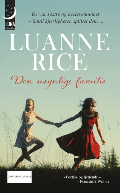 Omslag av "Den usynlige familie"