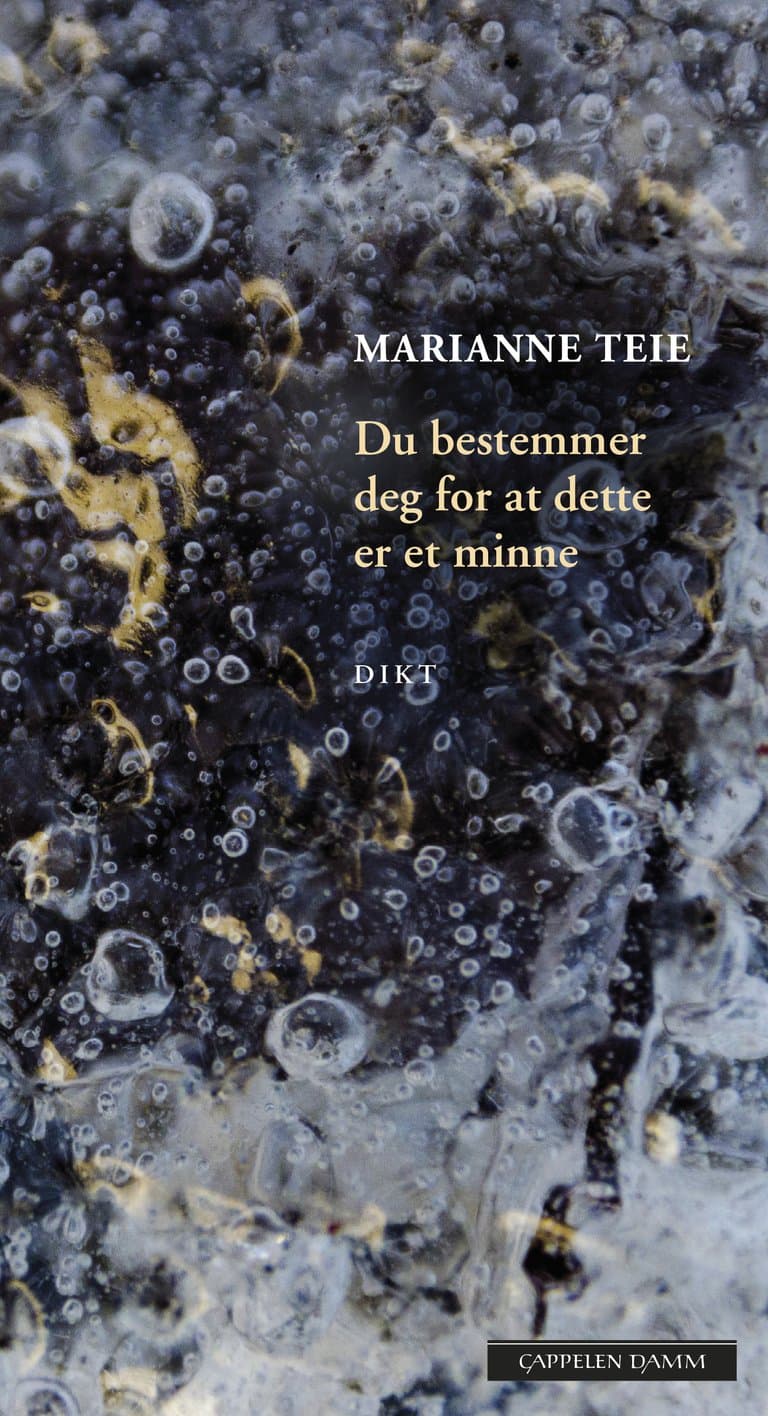 Omslag Du bestemmer deg for at dette er et minne av Marianne Teie (Innbundet)