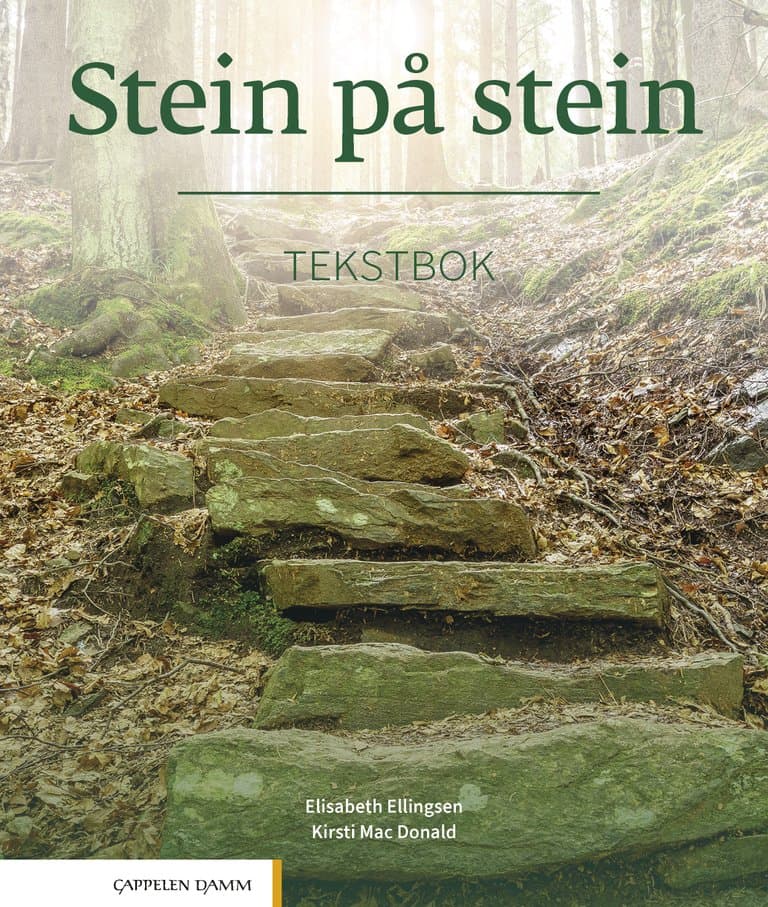 Omslag Stein på stein Tekstbok av Kirsti Mac Donald og Elisabeth Ellingsen (Heftet)
