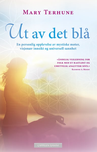Omslag av "Ut av det blå"