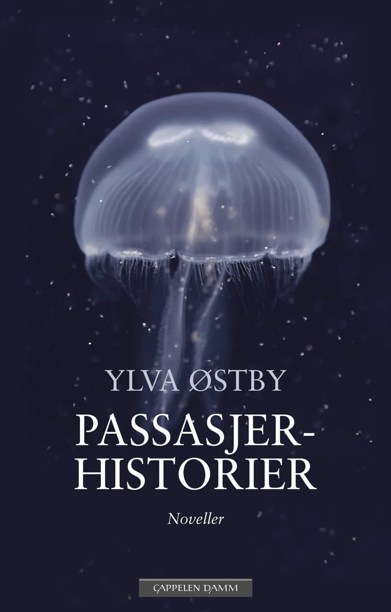 Omslag Passasjerhistorier av Ylva Østby (Ebok)