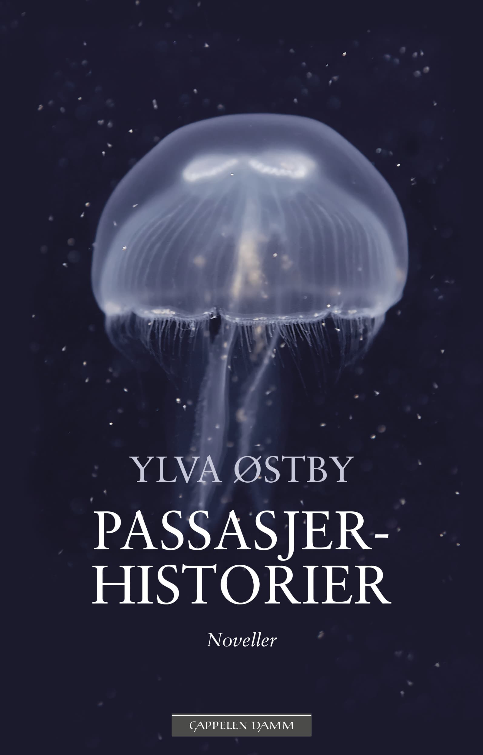 Omslag Passasjerhistorier av Ylva Østby (Innbundet)
