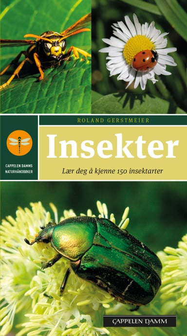 Omslag av "Insekter"