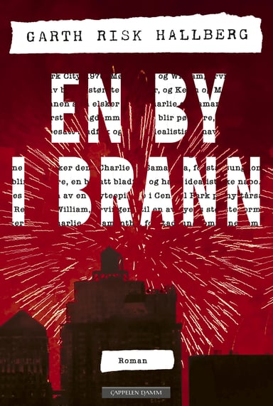 Omslag av "En by i brann"